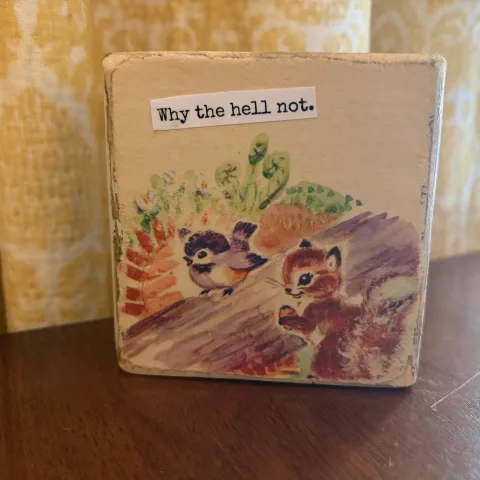 Why the hell not. (Squirrel/Bird)